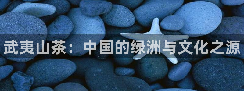 安信12官网qq