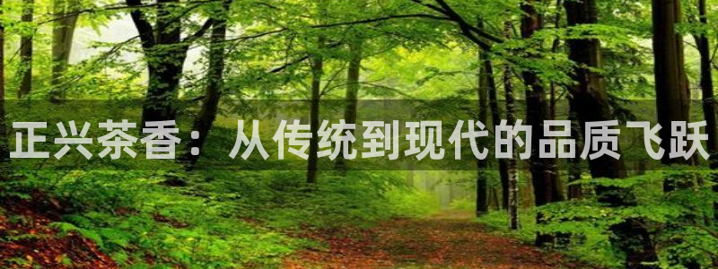 安信12官网