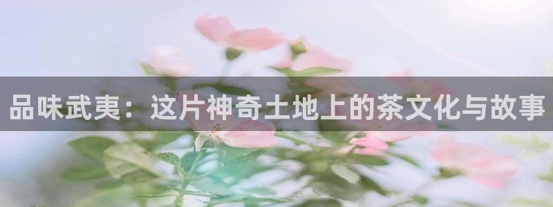 奇安信12流转场