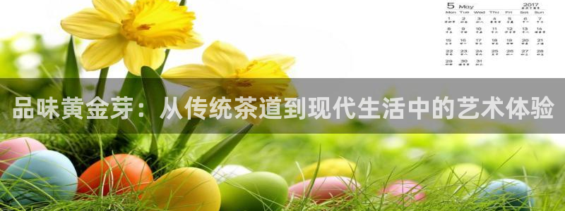 安信可12e12f