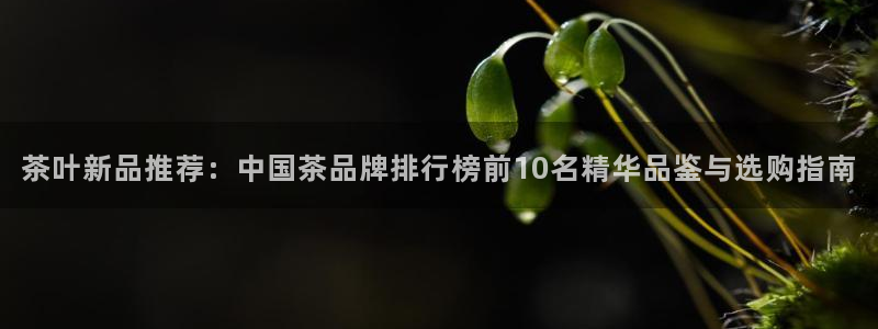 安信12是做什么
