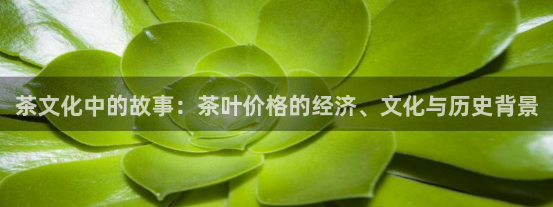 下载安信12