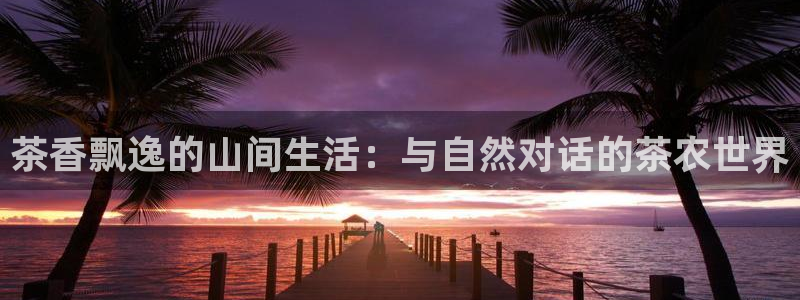 安信12是什么