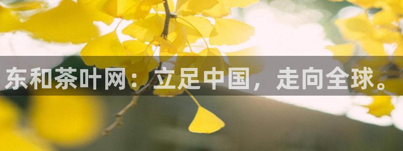 安信12彩票app下载