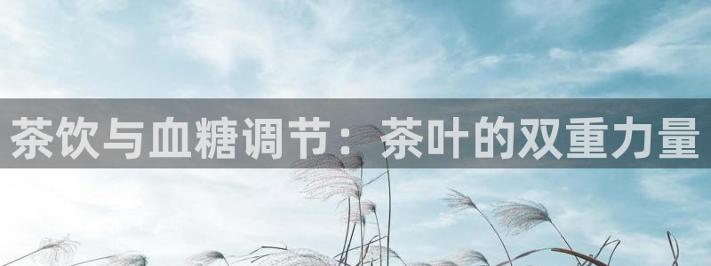 安信12平台可靠吗