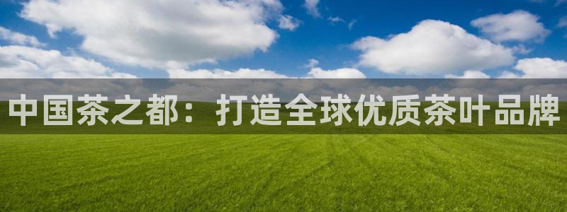 安信主管su金12手12指tq