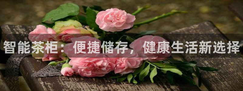 安信12平台最新消息