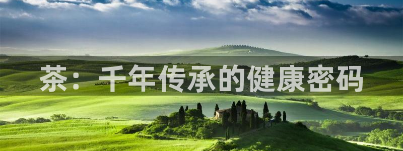 奇安信12流转场