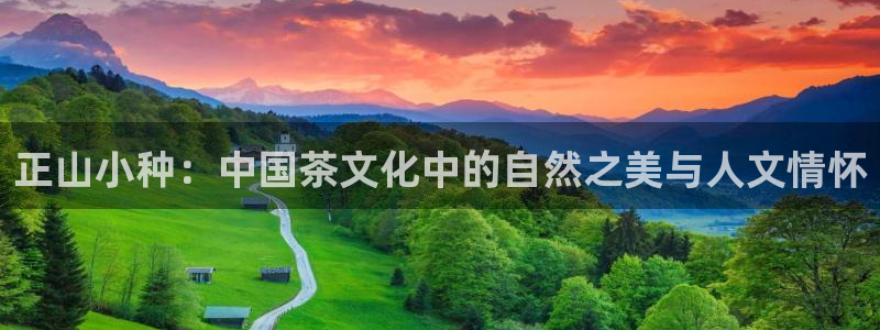 安信12官方网站查询