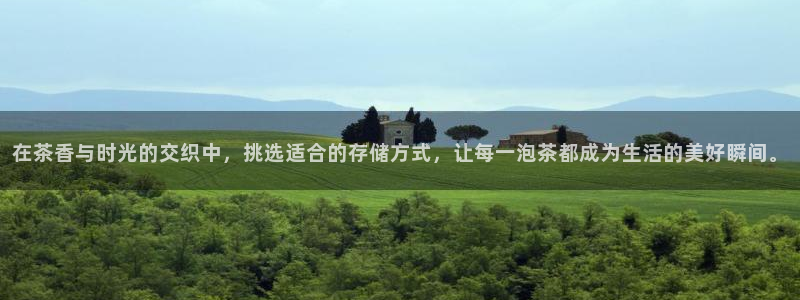 安信12彩票app下载