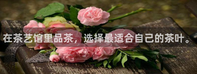 安信12级粉丝团福利