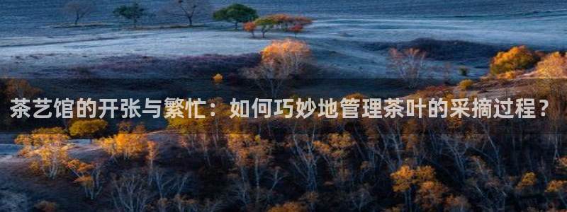 安信12平台可靠吗