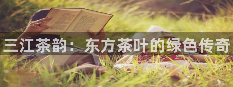 安信12平台可靠吗