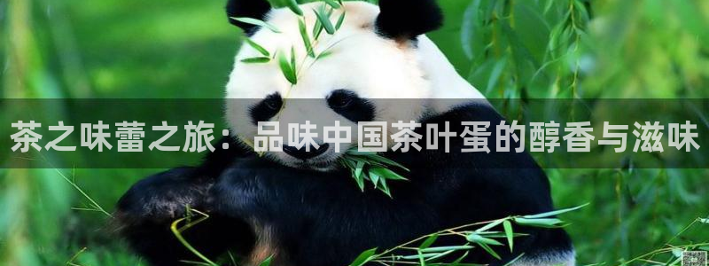 安信12平台介绍