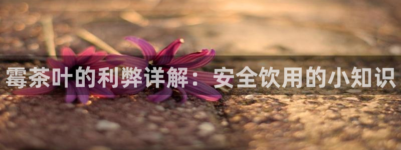 安信12娱乐7o777还