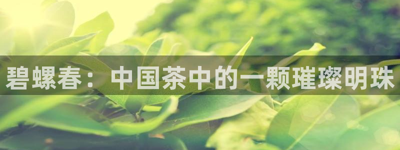 安信娱乐12登录地址