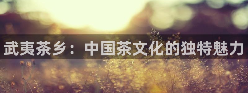 安信招商rk金12手12指jc