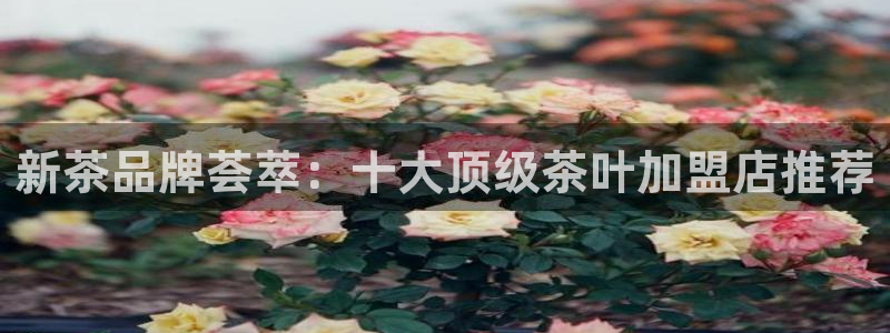 安信12平台官网