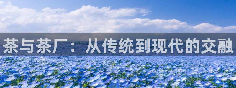 安信12级粉丝团福利