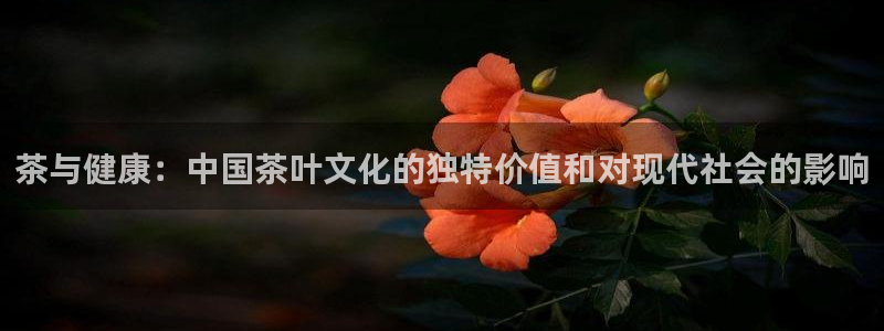 安信12是做什么