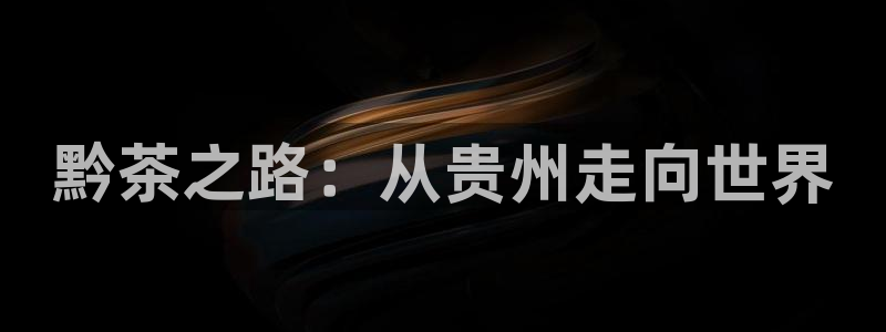 安信安翼 12账号