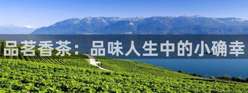 安信12娱乐招商