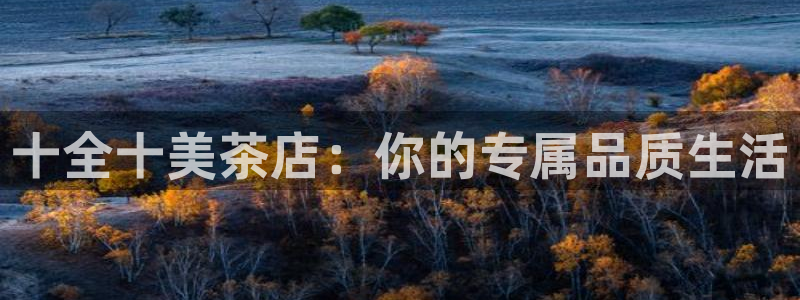 安信12怎么注册