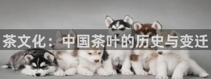 安信12平台注册